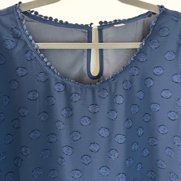 Plus Size Swiss Dot NavySheer Blouse Top Size:XXL - Picture 2 of 5